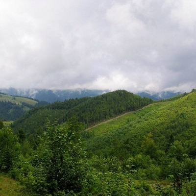 Карпаты 2004. Пешеходный поход  Черногорский хребет. Дождь.