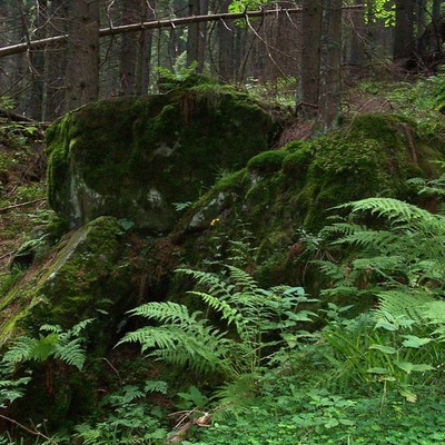 Карпаты 2005. Черногорский хребет. Одиночка