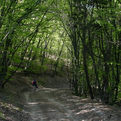 2006, весна. Крым. Севастополь - Крымские Горы - Феодосия - Ленино