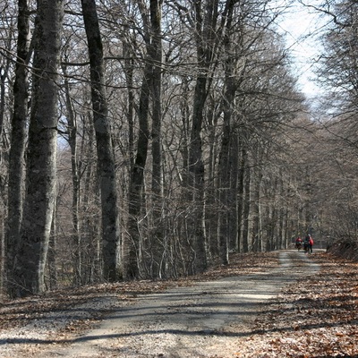 2006, весна. Крым. Севастополь - Крымские Горы - Феодосия - Ленино