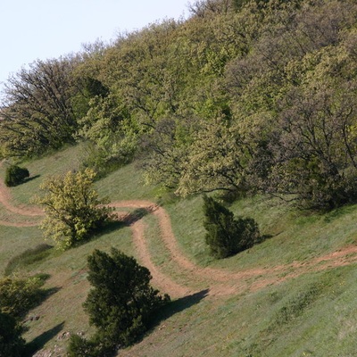 2006, весна. Крым. Севастополь - Крымские Горы - Феодосия - Ленино