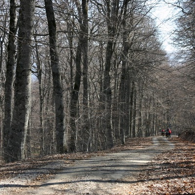 2006, весна. Крым. Севастополь - Крымские Горы - Феодосия - Ленино