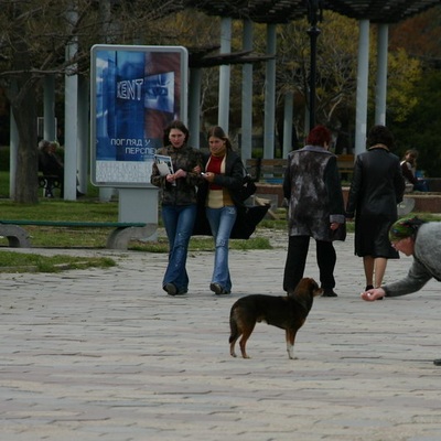 2006, весна. Крым. Севастополь - Крымские Горы - Феодосия - Ленино