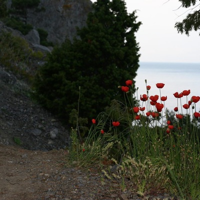 2006, весна. Крым. Севастополь - Крымские Горы - Феодосия - Ленино