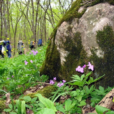 Крым 2006. Пешеходный поход Судак - Ай-Петри