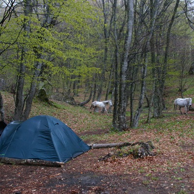 2006, весна. Крым. Севастополь - Крымские Горы - Феодосия - Ленино