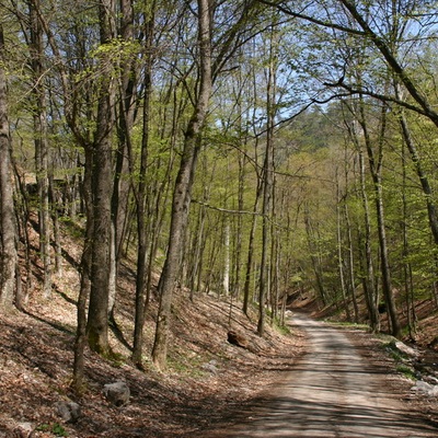 2006, весна. Крым. Севастополь - Крымские Горы - Феодосия - Ленино