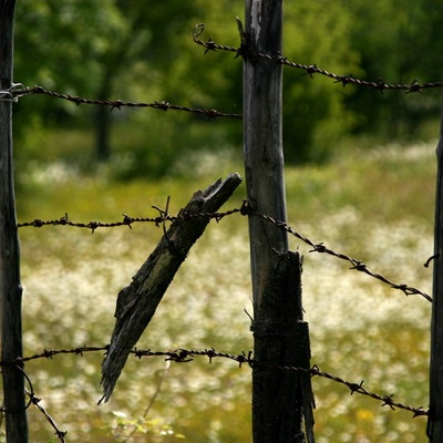 Черногория, весна-лето 2007