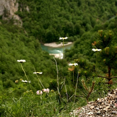 Черногория, весна-лето 2007