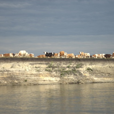 Водный поход по реке Сейм