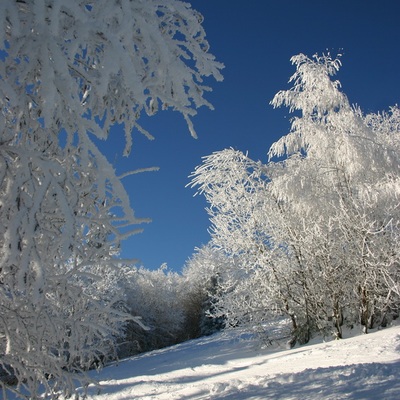 Тростян, декабрь 2007