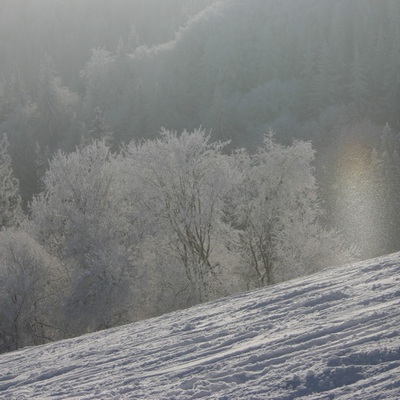 Тростян, декабрь 2007