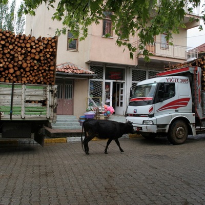 Турция