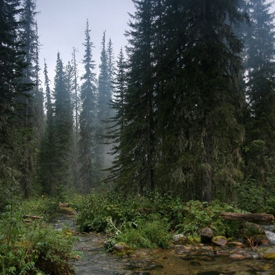 Саяны, хребты Араданский и Ергаки