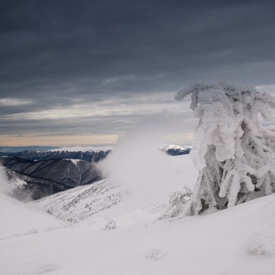 Драгобрат, январь 2009