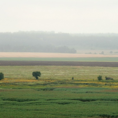 Гребінка – Лубни (2008)