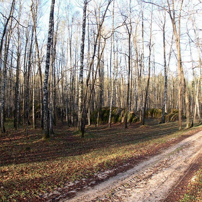 Каменное село