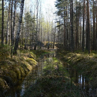 Каменное село