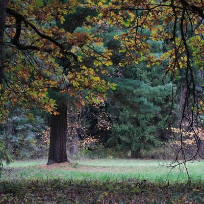 Чернигов - Тростянец, Осень 2009