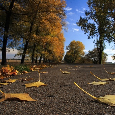 Чернигов - Тростянец, Осень 2009