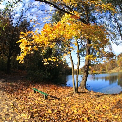 Чернигов - Тростянец, Осень 2009