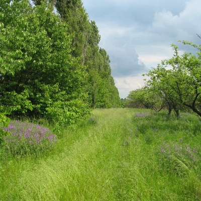 Подольские Товтры 30.05-01.06.2010