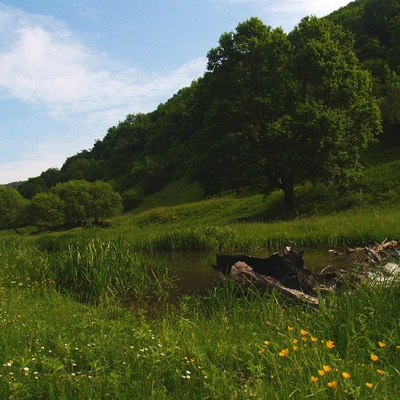 Подольские Товтры 30.05-01.06.2010