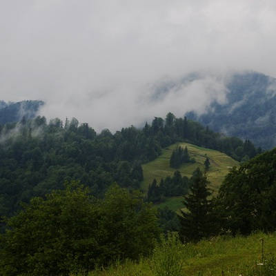 Карпаты. Синевир и Боржава