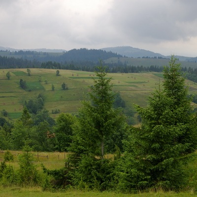 Карпаты. Синевир и Боржава