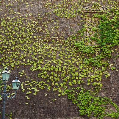 Грузия, Пеший поход по Сванетии, 2011