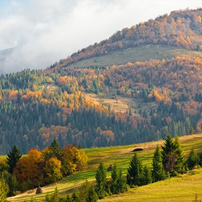 Осенние карпаты