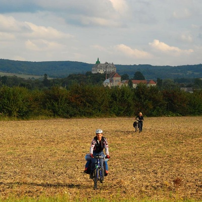 Золота підкова (2010)