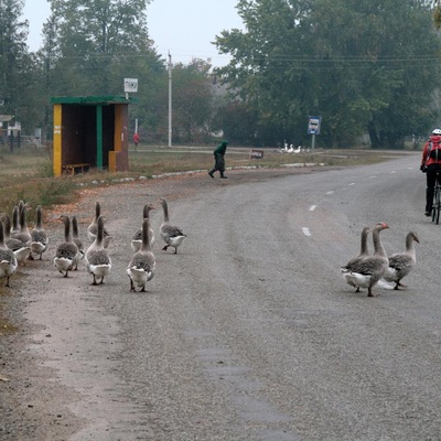 Золота осінь у Київській обл. (2007)