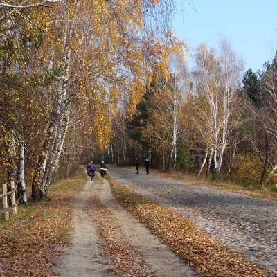 Незвідане Полісся (2013)