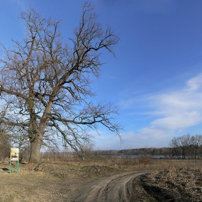 ТБВНК (2014)