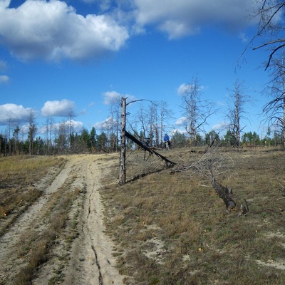 Незвідане Полісся (2013)