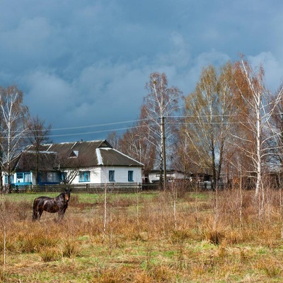 Великодне Полісся (2012)