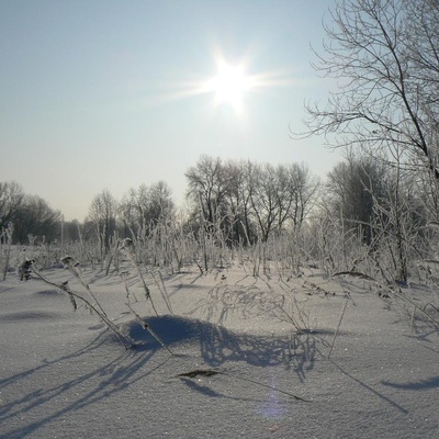 ПДН та Десна: зимовий сезон 2011/2012