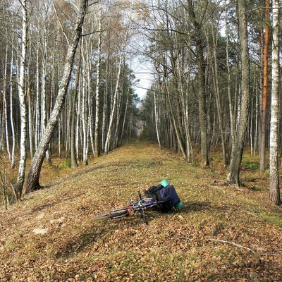 Незвідане Полісся (2013)