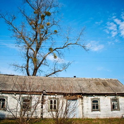 Великодне Полісся (2012)