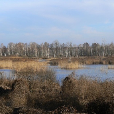 ТБВНК (2014)