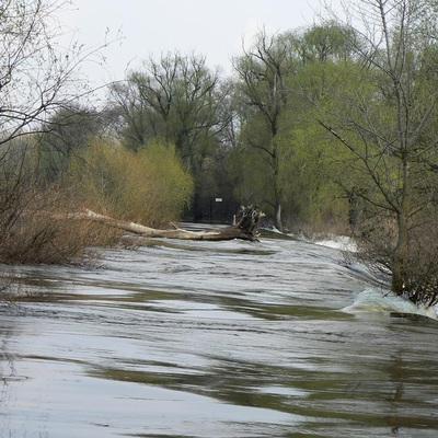 Деснянські маніяцтва