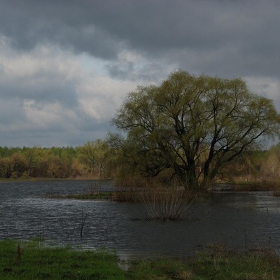 Деснянські маніяцтва