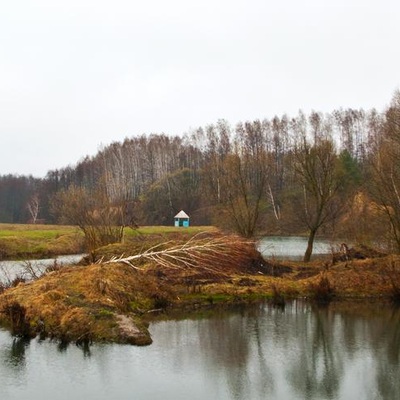 Великодне Полісся (2012)