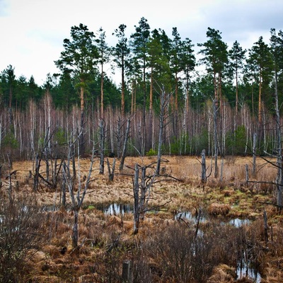 Великодне Полісся (2012)