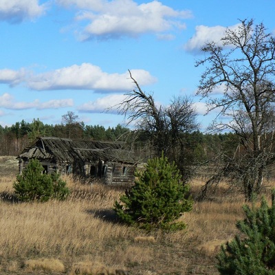 Незвідане Полісся (2013)