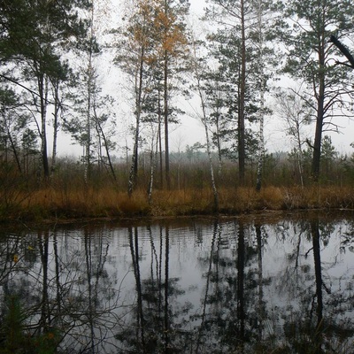 Незвідане Полісся (2013)