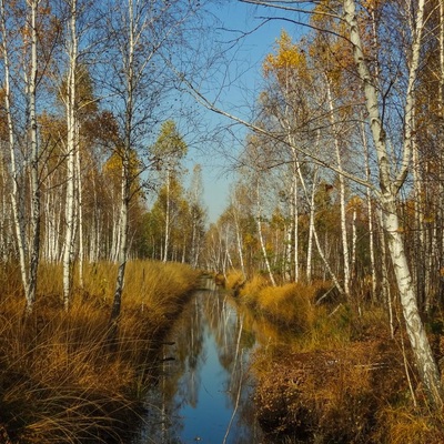 Дослідницьке Полісся (2014)