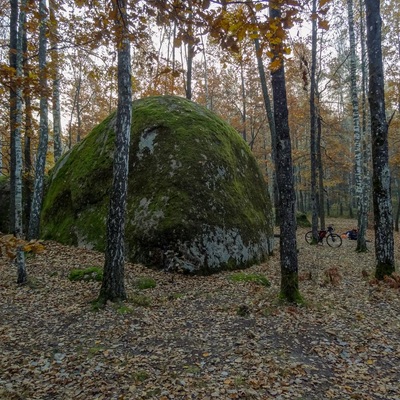 Дослідницьке Полісся (2014)