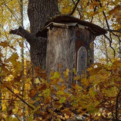 Дослідницьке Полісся (2014)